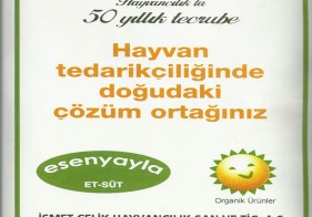 Çelik Hayvancılık